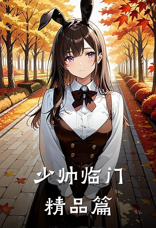 少帅临门精品篇
