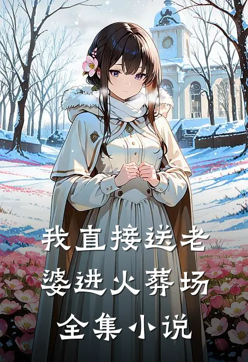 我直接送老婆进火葬场全集阅读