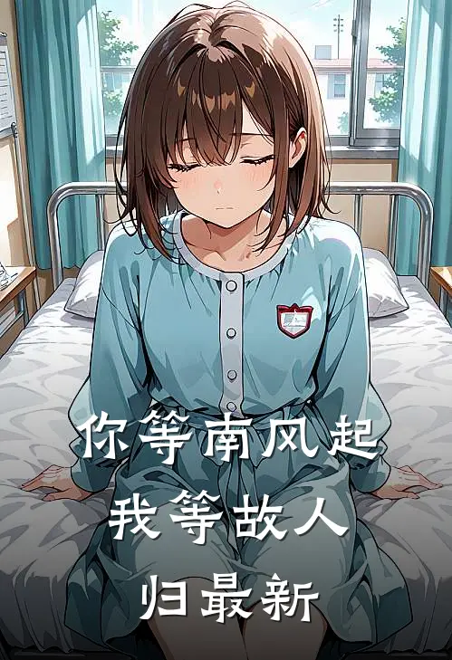 你等南风起，我等故人归最新