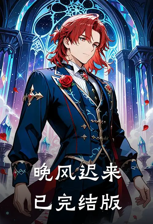 晚风迟来已完结版