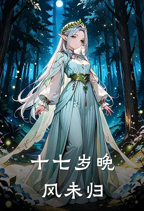 十七岁晚风未归
