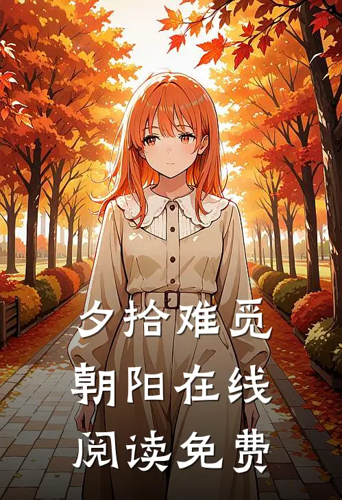 夕拾难觅朝阳在线阅读免费