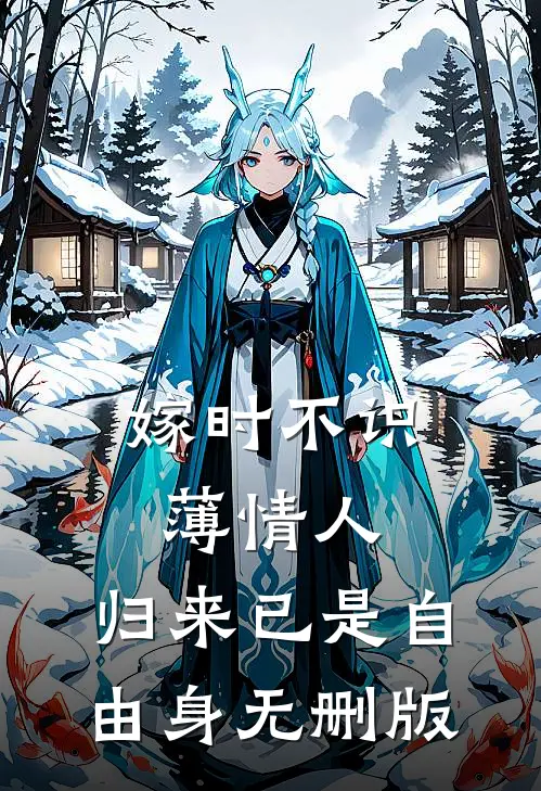 嫁时不识薄情人，归来已是自由身无删版