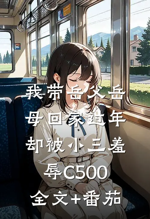 我带岳父岳母回家过年，却被小三羞辱C500全文+番茄
