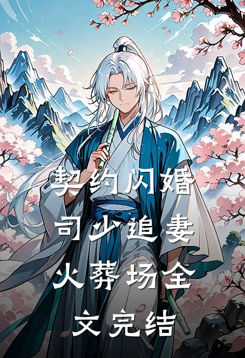 契约闪婚：司少追妻火葬场全文完结