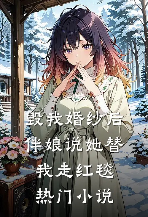 毁我婚纱后，伴娘说她替我走红毯热门小说