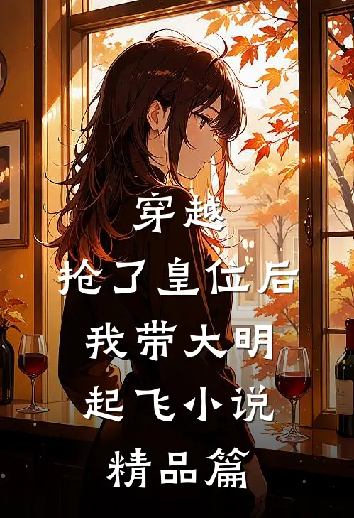 穿越抢了皇位后,我带大明起飞精品篇免费阅读