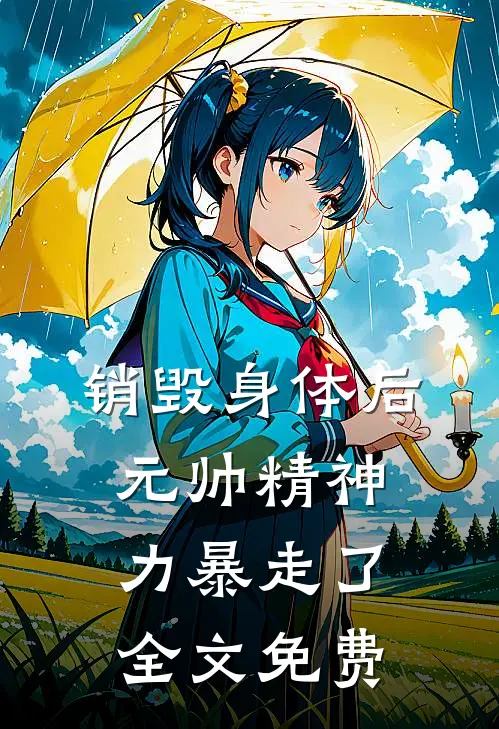 销毁身体后，元帅精神力暴走了全文免费