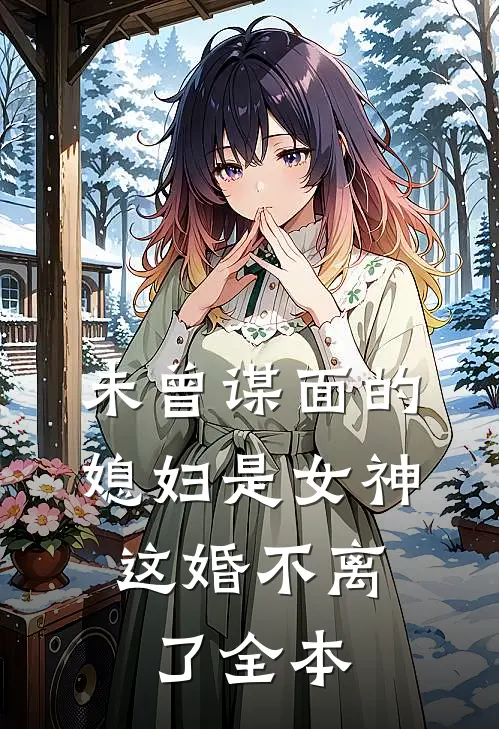 未曾谋面的媳妇是女神，这婚不离了全本
