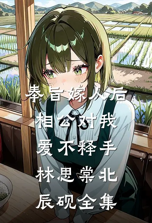 奉旨嫁人后，相公对我爱不释手林思棠北辰砚全集