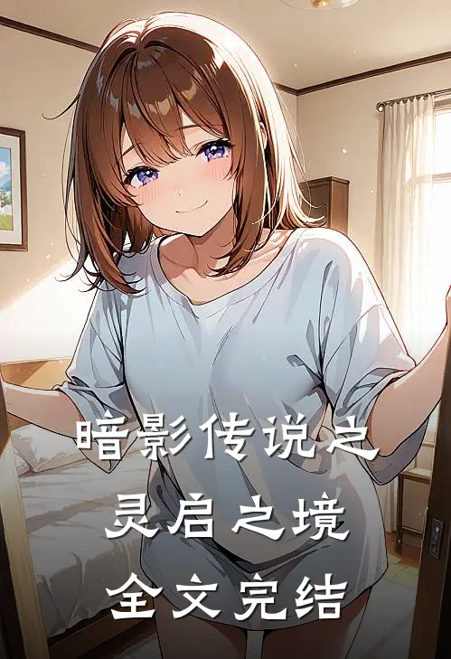 暗影传说之灵启之境全文完结