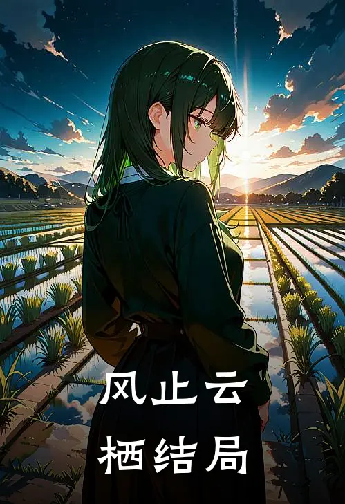 风止云栖结局