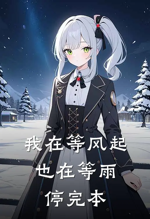 我在等风起，也在等雨停完本