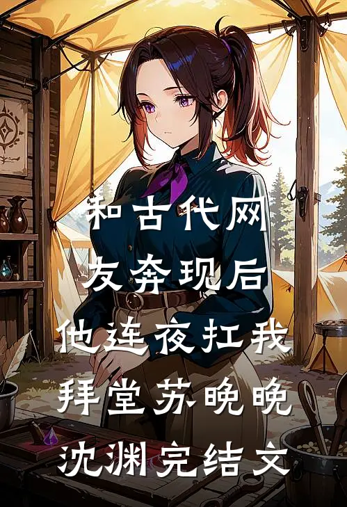 和古代网友奔现后，他连夜扛我拜堂苏晚晚沈渊完结文